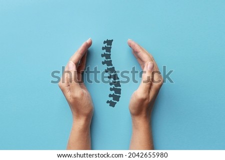 The silhouette of the spine in the hands of a person. A symbol of treatment and prevention of diseases of the back and spine