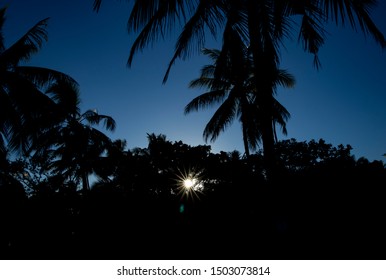 Silhouette Sunrise Fiji Island Stock Photo 1503073814 | Shutterstock