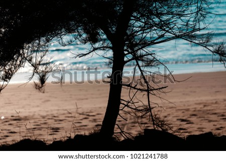 Similar – Strauch mit Booten und Bäumen vor abendlichem Ostseehorizont