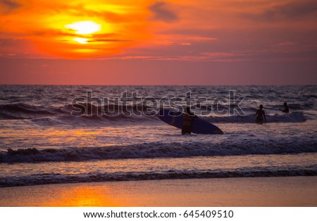 Silhouette of surfer people on sunset beach