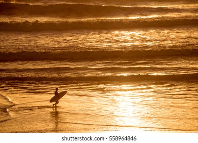 Silhouette of a surfer at sunset on the atlantic ocean, Lacanau France