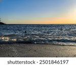 Silhouette of a swimmer swiming in a sunset at a beautiful Gortan bay in Adriatic sea in Pula Croatia. Blue sea and sky, sand beach and rocks