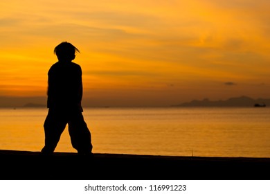 Silhouette taekwondo boy on the beach at dusk. - Shutterstock ID 116991223