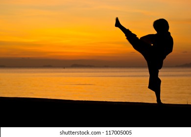 Silhouette taekwondo boy on the beach at dusk.