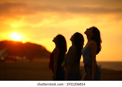 Silhouette of three friends breathing fresh air at sunset on the beach - Powered by Shutterstock