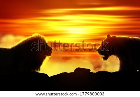 Silhouette of a tiger and a lion