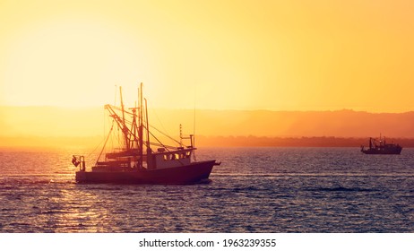 Silhouette Of A Trawler Fishing Boat Heading Out To Sea. Dramatic Sunset With Beautiful Golden Light. Commercial Fishing Industry Concept. 