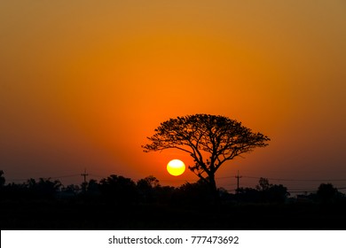 Paysages Africains Images Photos Et Images Vectorielles De Stock Shutterstock