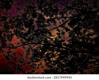 Silhouette Tree Branches Against a Dramatic Purple and Orange Sunset Sky.
Dark silhouette of tree branches and dense foliage against a dramatic purple, orange, and red sunset sky. A moody nature background featuring vibrant colors, intricate leaf patterns, and a peaceful yet mysterious atmosphere. Ideal for themes of nature, environment, seasons, tranquility, and artistic backgrounds.