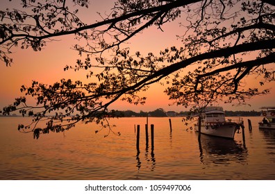 Silhouette of tree branches over lake Vembanad in Marine Drive, Kochi during sunset.