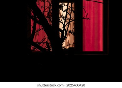 Silhouette Of Tree Branches At The Window With Red Curtain At Night. Zoom Shot