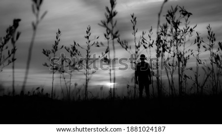 Similar – Man walking along the jetty