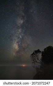 A Silhouette Of A Tree On The Edge Of A Cliff On A Starry Night