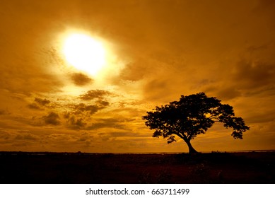 Silhouette Tree On Mound At Sunset.
