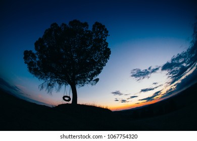 Silhouette Of A Tree With A Tire Swing On It At Sunset.