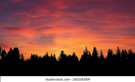 Silhouette Of A Treeline In Front Of A Beautiful Sunset.