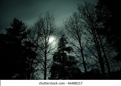 Silhouette of trees against the bright moon light of the night with motion blurred clouds passing by in front of it.