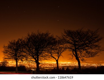 Silhouette Of Trees Against Dublin City Light Pollution