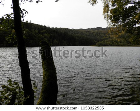 Similar – Stone jetty by the lake