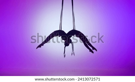 Silhouette of two female acrobats isolated on purple neon background. Girls aerial dancers performing mirrored flying on ropes.