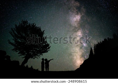 Children discover forest