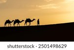 Silhouette of unidentified Berber man with his camel caravan on sand dunes during sunset in Sahara Desert, Morocco