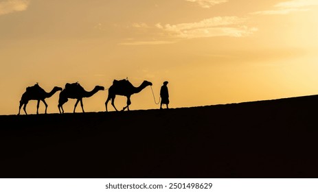 Silhouette of unidentified Berber man with his camel caravan on sand dunes during sunset in Sahara Desert, Morocco - Powered by Shutterstock