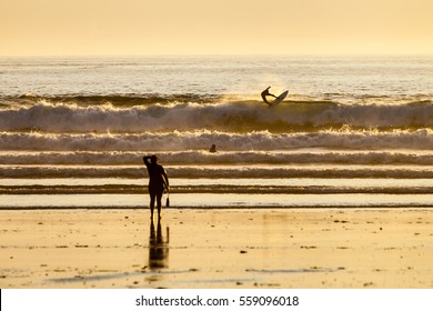 Silhouette of unidentified spectators watching surfer at sunset Tofino BC