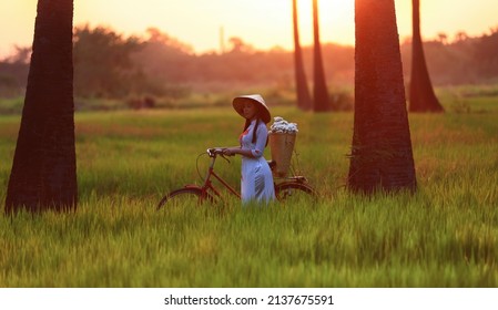 Silhouette Vietnamese woman hold bicycle walk pass rice field on sunrise time , Rural lifestyle of farmer in Vietnam
