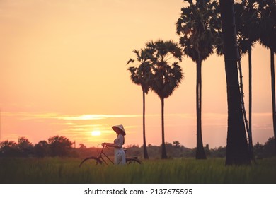 Silhouette Vietnamese woman hold bicycle walk pass rice field on sunrise time , Rural lifestyle of farmer in Vietnam