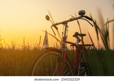 A silhouette of a vintage red bicycle parked in a grassy field at sunset, capturing the serene atmosphere of the evening - Powered by Shutterstock