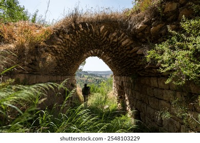 Silhouette Walks Underneath an Ancient Stone Arch Ruins Overgrown with Vegetation in Lifta Village, Near Jerusalem - Powered by Shutterstock