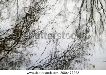 Similar – Mirrored Tree Reflection