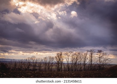 Silhouette Of A Windbreak Tree Line Under A Dramatic Beautiful Colorful Sky With Sun Beams Coming Through The Clouds