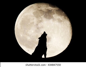 Silhouette wolf on full moon background