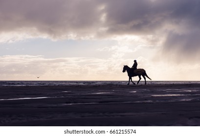 Silhouette of a woman horse riding free on a purple overcast beach at sunset