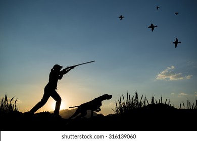 Silhouette Of Woman Hunter At Sunset. Duck Hunting With Dogs.