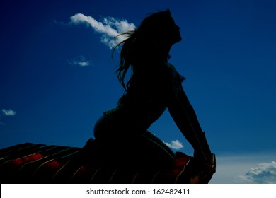 A Silhouette Of A Woman Looking Up And Riding A Magic Carpet.