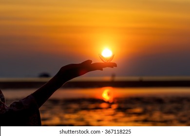 Silhouette of a woman's hand, holding sea shell against the setting sun on the seashore. Sun presented as a shiny pearl. Beautiful sunset picture on vacation in Asia.