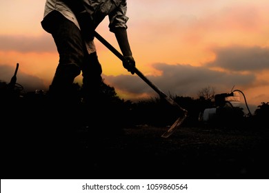 The silhouette of the workers shoveling the soil with a spade in the evening.