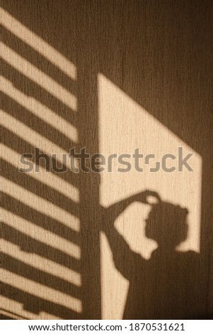 Silhouette of young woman thinking with her hand touching her head in the morning at home. Contrast window shadows on the wall. Aesthetic shade portrait. Lights and shades. Shade silhouette.