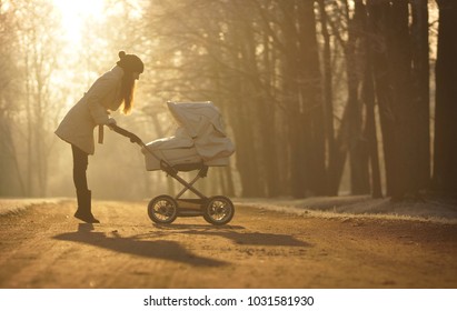 looking for baby strollers