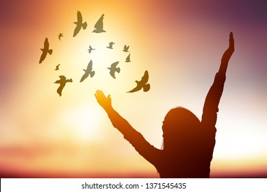 silhouette young women and birds - Shutterstock ID 1371545435
