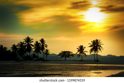 Silhouetted coconut palm trees on the beach at sunset time. Summer vacation in Thailand