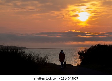 A Silhouetted Female Dog Walker Against A Beautiful Sunset With Space For Text