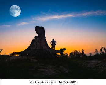 Silhouetted Person Stands Atop On Tree Stump And Looking Up To The Moon On Beautiful Sky. Sunset Time.