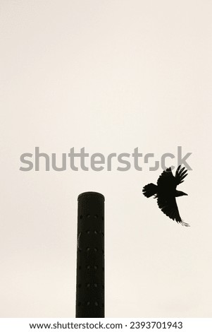 Silhouetted raven flying from a tall pole under a cloudy sky