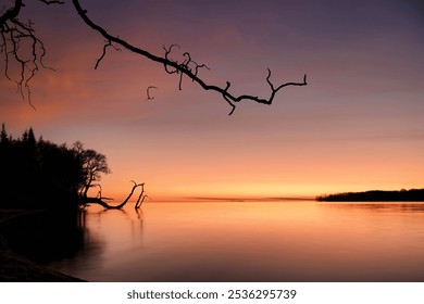 A silhouetted tree on the shore of a calm lake reflecting the orange and purple hues of the sunset sky - Powered by Shutterstock