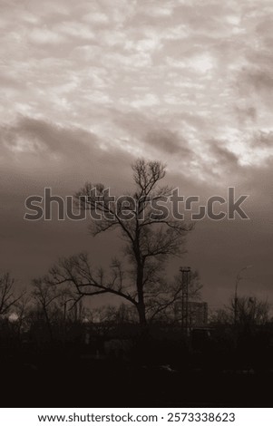 Similar – Image, Stock Photo Silhouetted trees stand against a fiery red sky reflected in a tranquil water body at twilight