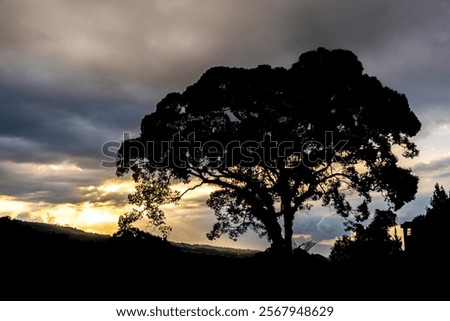Similar – Image, Stock Photo Silhouetted trees stand against a fiery red sky reflected in a tranquil water body at twilight